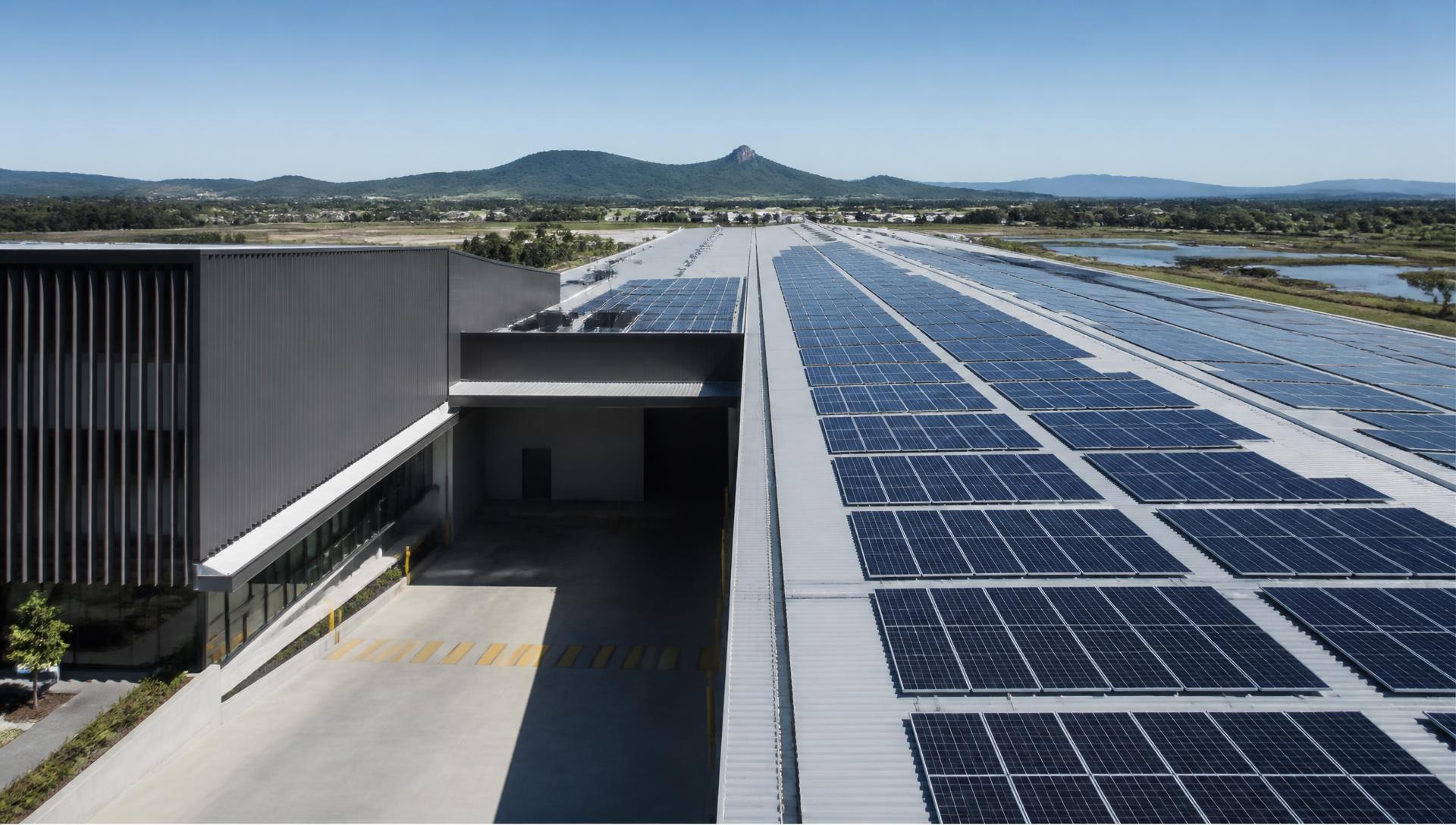 Premium commercial property with an extensive rooftop solar installation in daylight